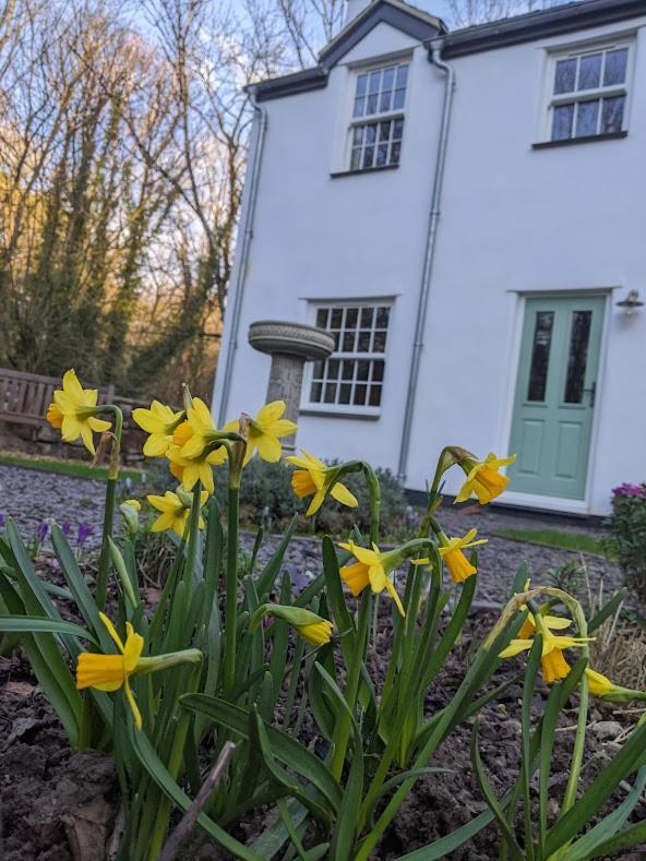 Riverside Cottage Walking Distance Into Caernarfon Ngoại thất bức ảnh