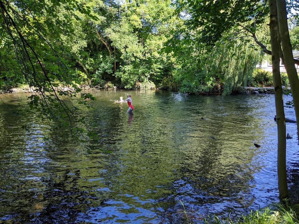 Riverside Cottage Walking Distance Into Caernarfon Ngoại thất bức ảnh